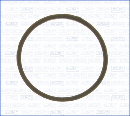 Termostat O-ring